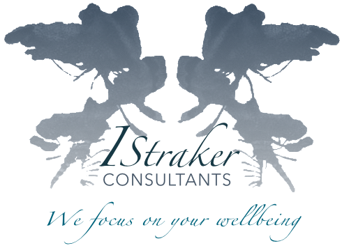 I Straker Consultants Limited