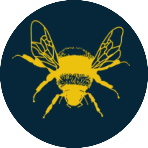 Laura The Acupuncturist